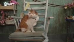 Пятое время года: как устроены благотворительные магазины в Кишиневе Пятое время года: как устроены благотворительные магазины в Кишиневе