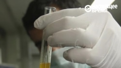 Депутат парламента Казахстана рассказывает, что "Оранжевую революцию" в Украине устроили наркоманы Депутат парламента Казахстана рассказывает, что "Оранжевую революцию" в Украине устроили наркоманы