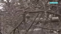 "Победных настроений нет". Военный аналитик – о том, что происходит с российской армией на кураховском направлении  "Победных настроений нет". Военный аналитик – о том, что происходит с российской армией на кураховском направлении