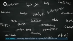 Детали: зараженные комары и самые любимые языки  Детали: зараженные комары и самые любимые языки