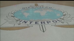 «Красный циркуляр» чисто по-русски «Красный циркуляр» чисто по-русски