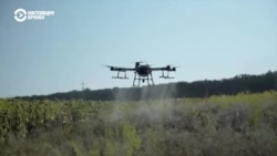 На агроэксперта в Казахстане завели административное дело за публикацию про дроны На агроэксперта в Казахстане завели административное дело за публикацию про дроны