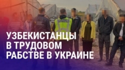 Азия: узбекистанцев освободили из трудового рабства, вербовка кыргызстанца на войну Азия: узбекистанцев освободили из трудового рабства, вербовка кыргызстанца на войну