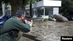 Во время наводнения из зоопарка Тбилиси сбежали животные, 14 июля 2015