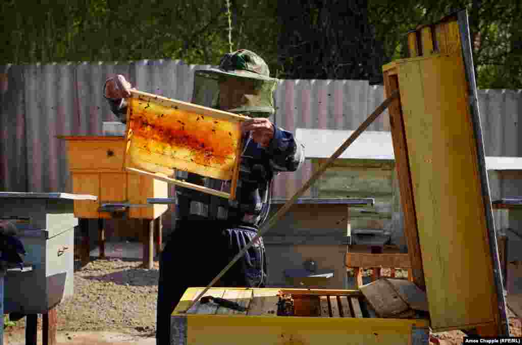 Василий проверяет один из своих 21 ульев. Однажды бывшие владельцы, которые сейчас живут в Крыму, вернулись попроведать свой старый дом. "Они постучали в дверь ... Никаких проблем не было – наоборот, они были счастливы, что я вселился". Без него, говорит Василий, дом теперь был бы в руинах