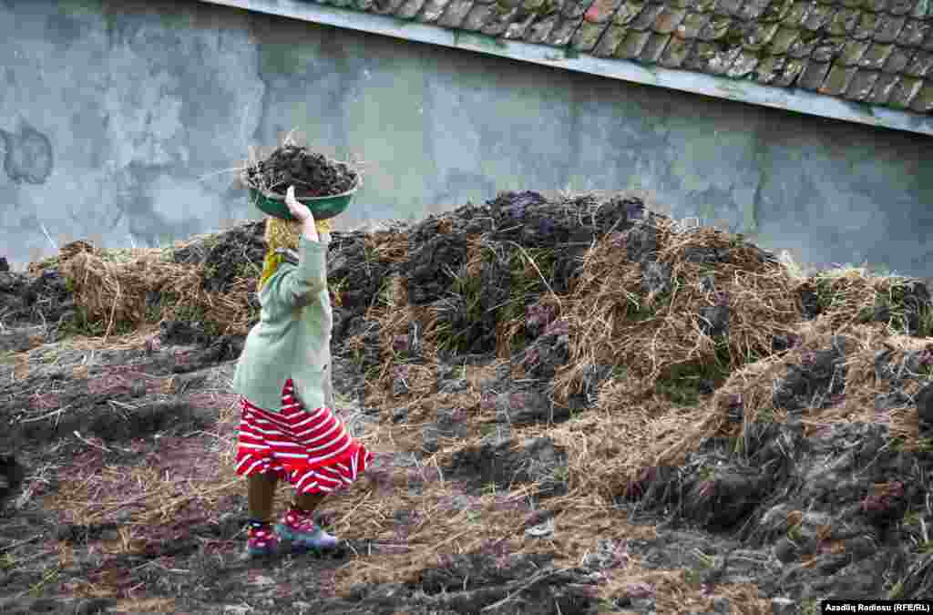 На фото – жительница расчищает дорогу от навоза