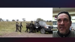 Максим Шевченко: Российские структуры обязаны ответить на расследование убийства в ЦАР Максим Шевченко: Российские структуры обязаны ответить на расследование убийства в ЦАР