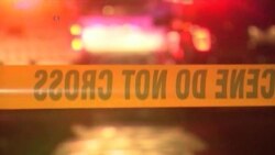 В США растет число убийств, но власти требуют "мягких" наказаний для молодых преступников В США растет число убийств, но власти требуют "мягких" наказаний для молодых преступников