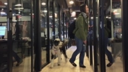 Коворкинг вместо офисного рабства: где сегодня работают люди в Америке Коворкинг вместо офисного рабства: где сегодня работают люди в Америке