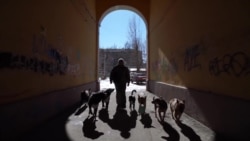 Человек на карте: как в смоленской деревне появился приют для животных Человек на карте: как в смоленской деревне появился приют для животных