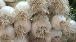 В Таджикистане скупают лимоны и чеснок: люди верят, что они защитят от коронавируса В Таджикистане скупают лимоны и чеснок: люди верят, что они защитят от коронавируса