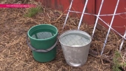 Умереть, чтобы помыться Умереть, чтобы помыться