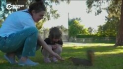 "Несколько новорожденных, которых я снимала, погибли!": рассказ киевского фотографа, которая бежала от войны "Несколько новорожденных, которых я снимала, погибли!": рассказ киевского фотографа, которая бежала от войны