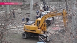 В Ташкенте вырубают чинары: на их место сажают неприспособленные к жаре елочки В Ташкенте вырубают чинары: на их место сажают неприспособленные к жаре елочки