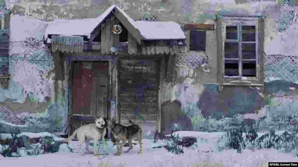 Сравнительно недавно и Териберка тоже была режимной пограничной территорией. Чтобы добраться сюда из Мурманска, нужно проехать 120 километров по асфальту, а потом еще 40 по разбитой грунтовой дороге