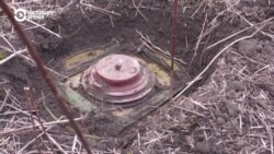 Литва и Финляндия будут снова производить противопехотные мины: это связано с угрозой со стороны России