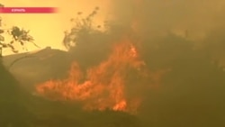 Ветер из пустыни и задержанные поджигатели: Израиль охвачен лесными пожарами Ветер из пустыни и задержанные поджигатели: Израиль охвачен лесными пожарами