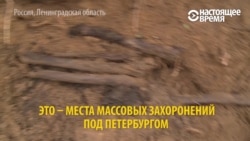 "Сведений о расстрелах в архивах ФСБ нет": добровольцы каждый год находят массовые могилы убитых при Сталине "Сведений о расстрелах в архивах ФСБ нет": добровольцы каждый год находят массовые могилы убитых при Сталине