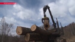 На Дальнем Востоке пасечников обвинили в работе на США и Канаду На Дальнем Востоке пасечников обвинили в работе на США и Канаду