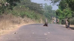 Что известно о Сотове и Захарове Что известно о Сотове и Захарове